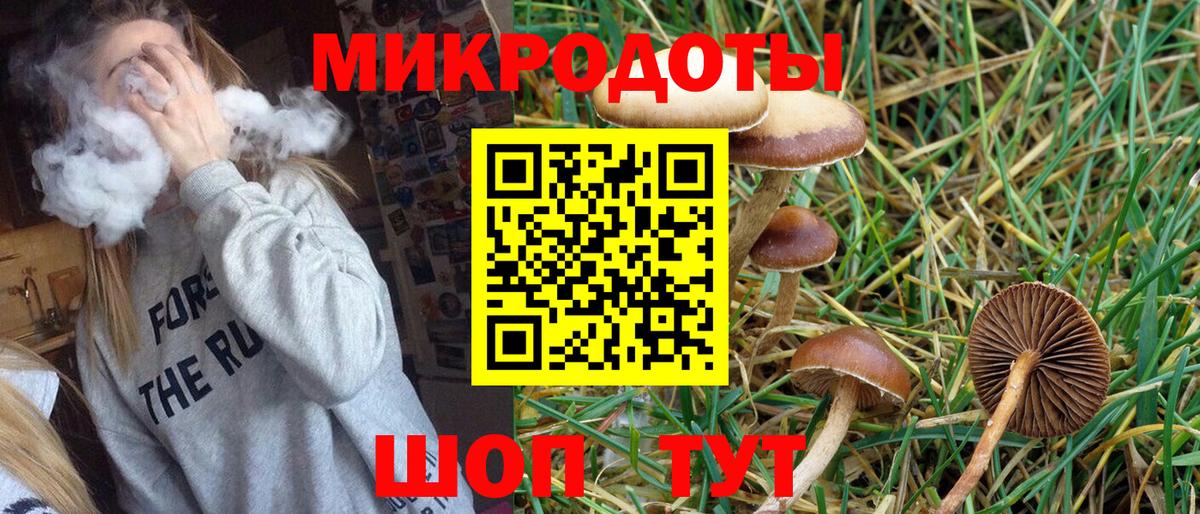 Галлюциногенные грибы GOLDEN TEACHER Муром