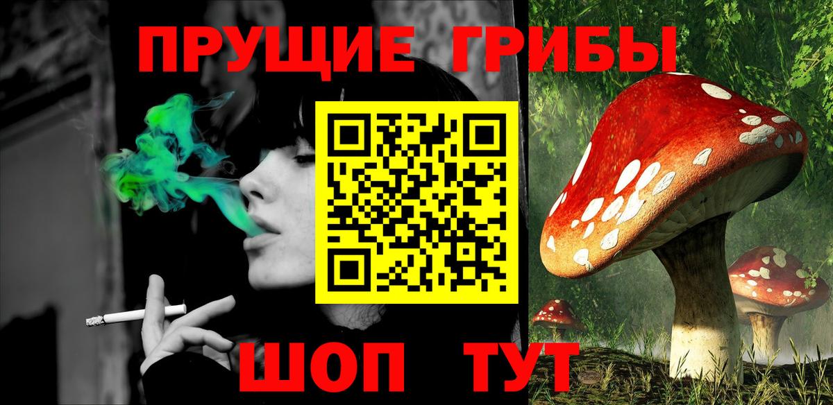 Муром  Псилоцибиновые грибы Magic Shrooms  Вход с VPN 
